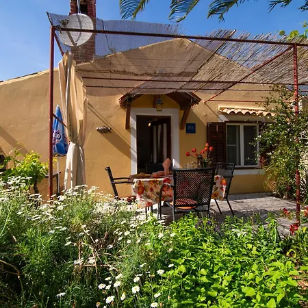 Stokic Apartment